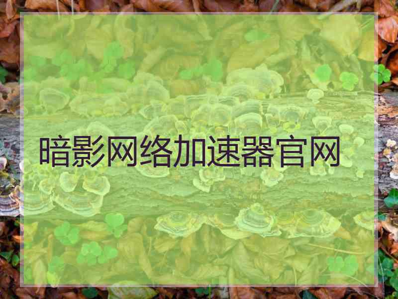 暗影网络加速器官网