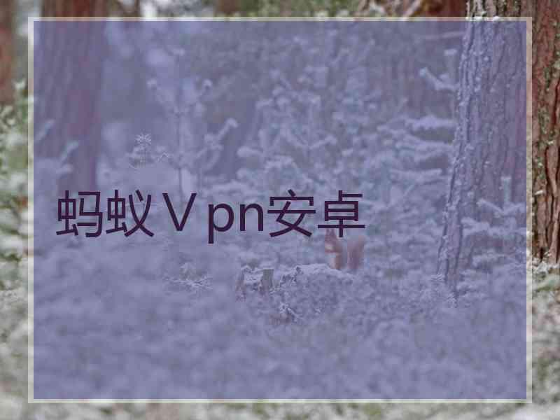 蚂蚁Ⅴpn安卓
