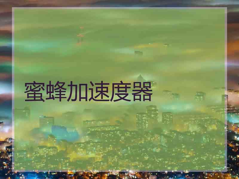 蜜蜂加速度器