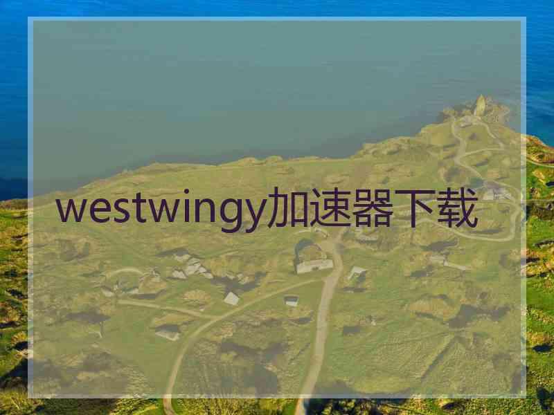 westwingy加速器下载