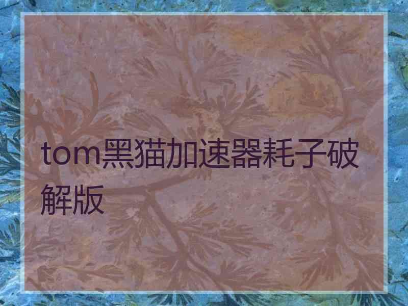 tom黑猫加速器耗子破解版