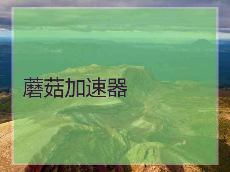 蘑菇加速器