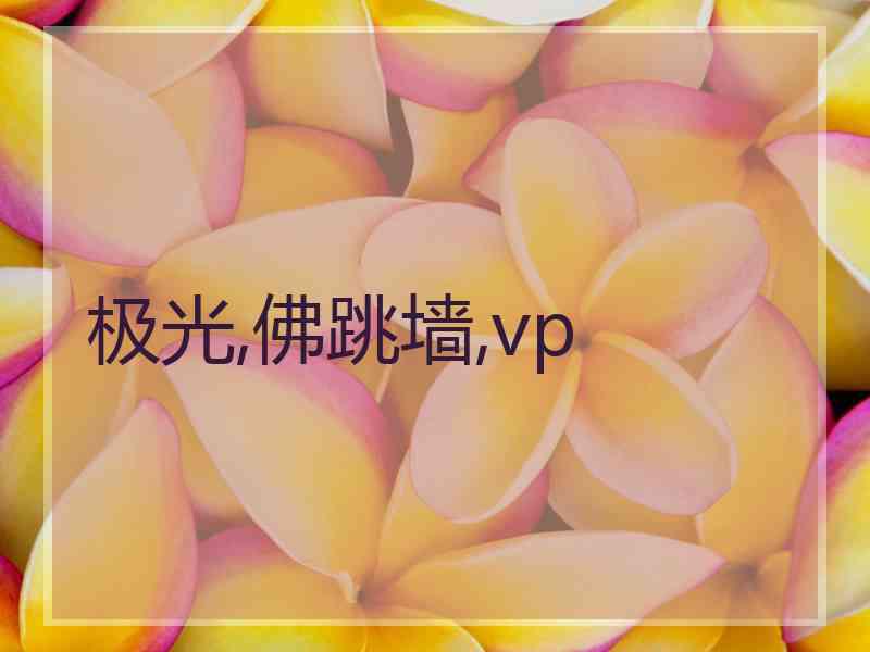 极光,佛跳墙,vp