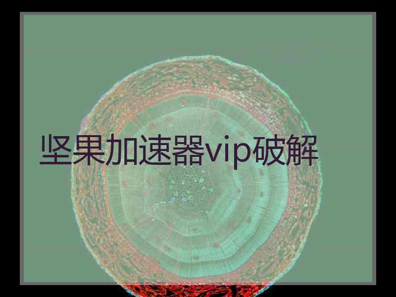 坚果加速器vip破解