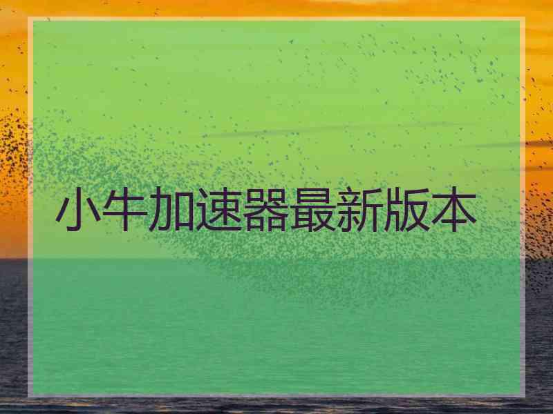 小牛加速器最新版本