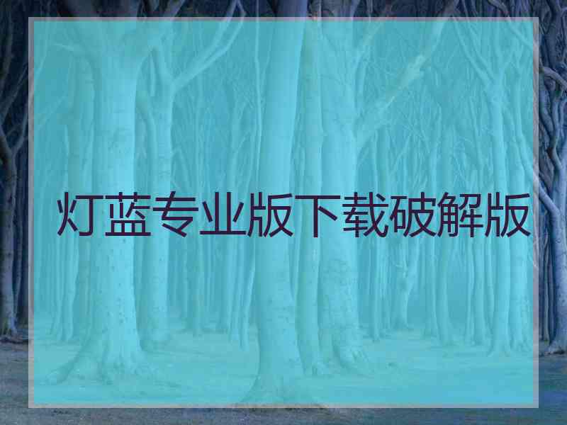 灯蓝专业版下载破解版
