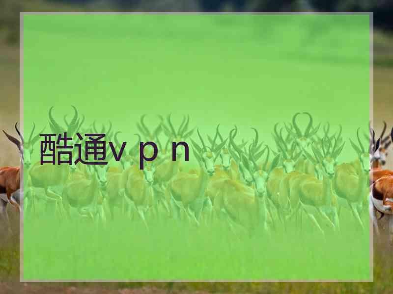 酷通v p n