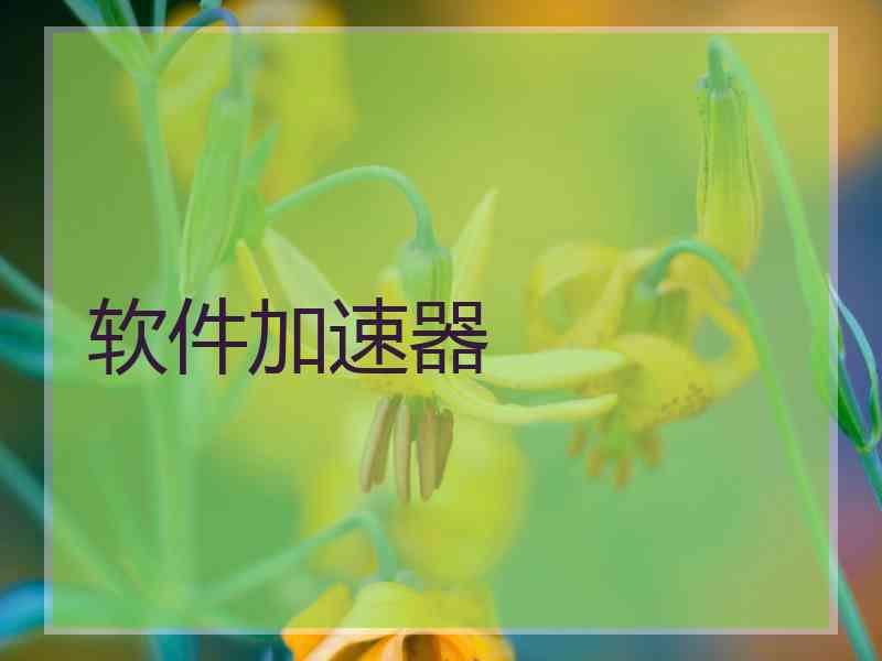软件加速器