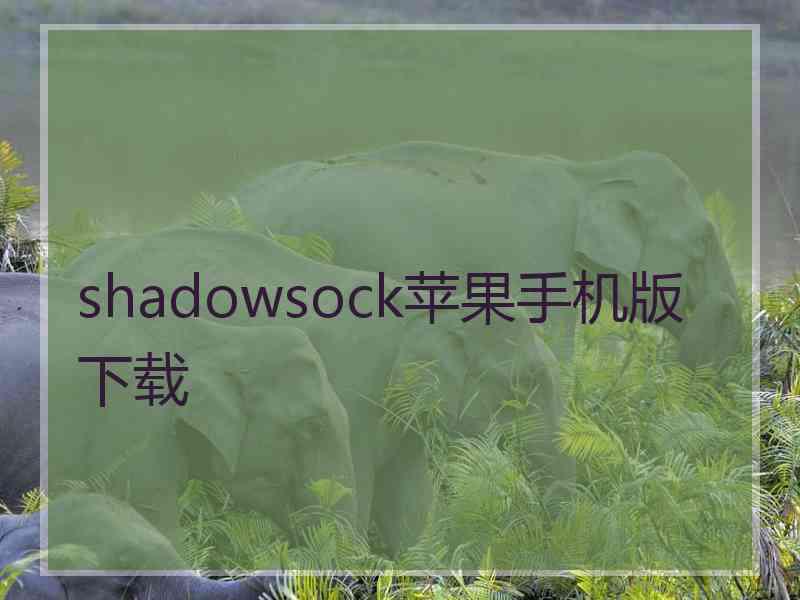 shadowsock苹果手机版 下载