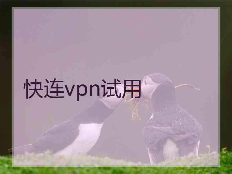 快连vpn试用