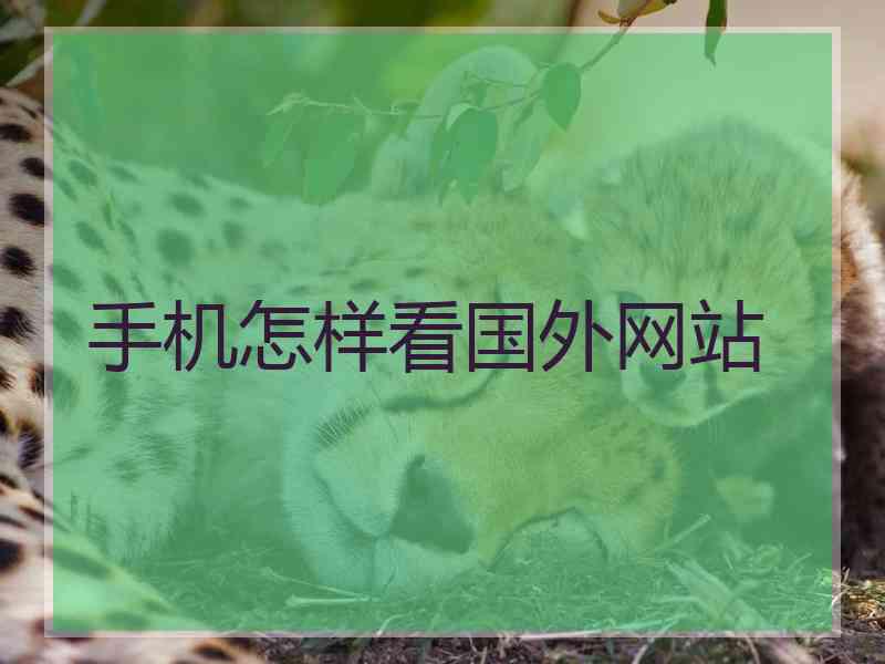 手机怎样看国外网站