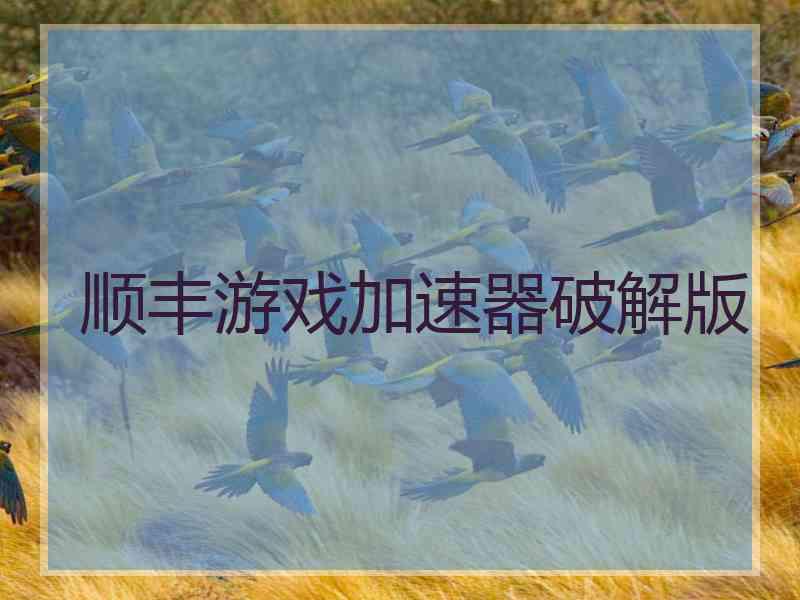 顺丰游戏加速器破解版