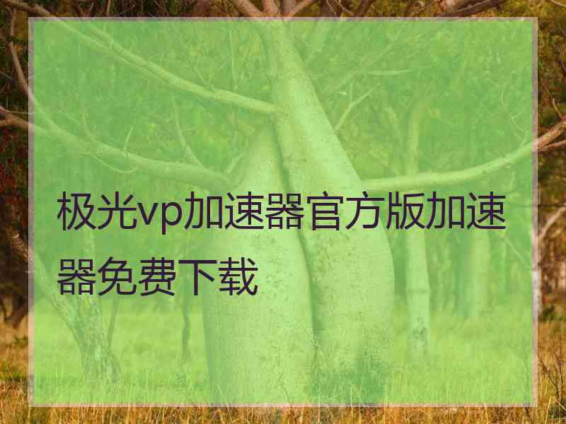 极光vp加速器官方版加速器免费下载