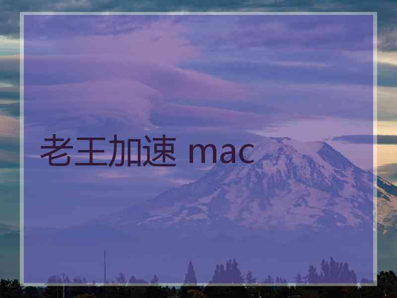 老王加速 mac