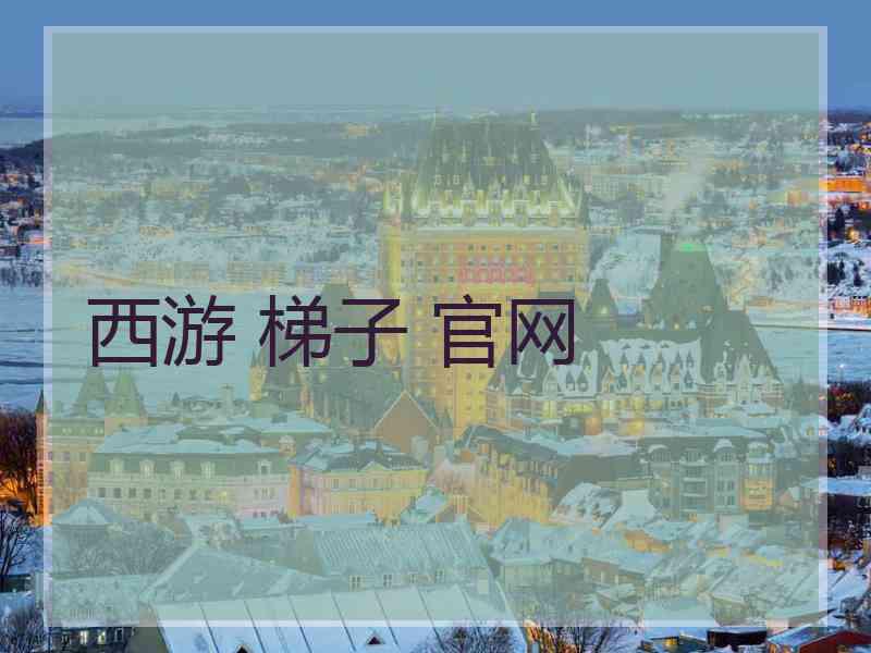 西游 梯子 官网