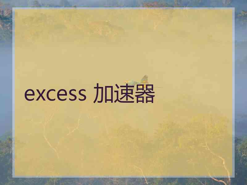excess 加速器
