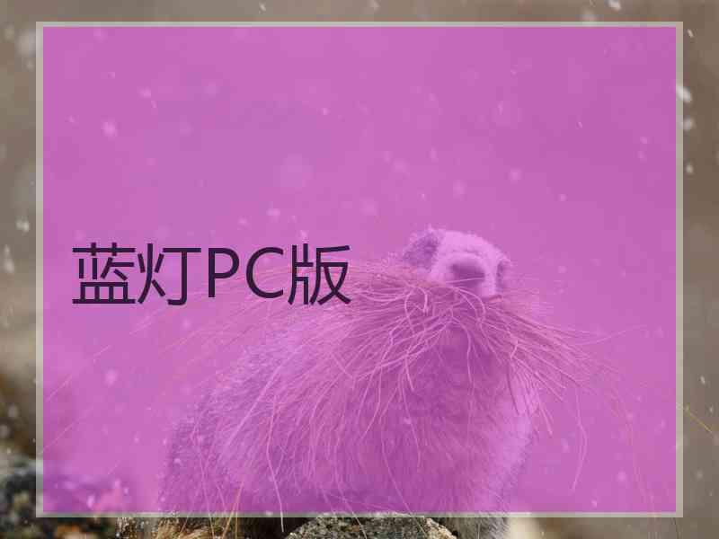 蓝灯PC版