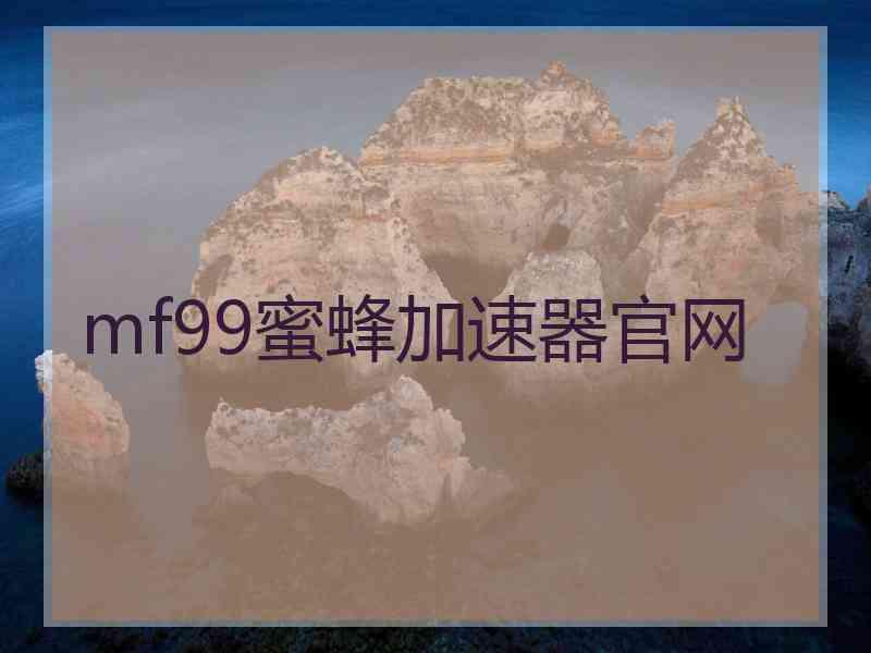 mf99蜜蜂加速器官网