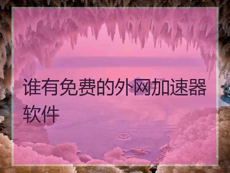 谁有免费的外网加速器软件