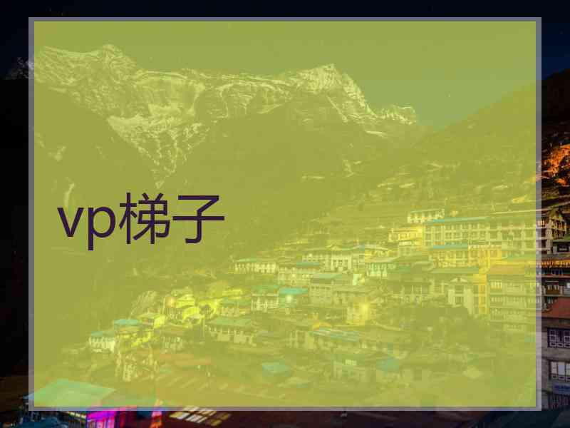 vp梯子