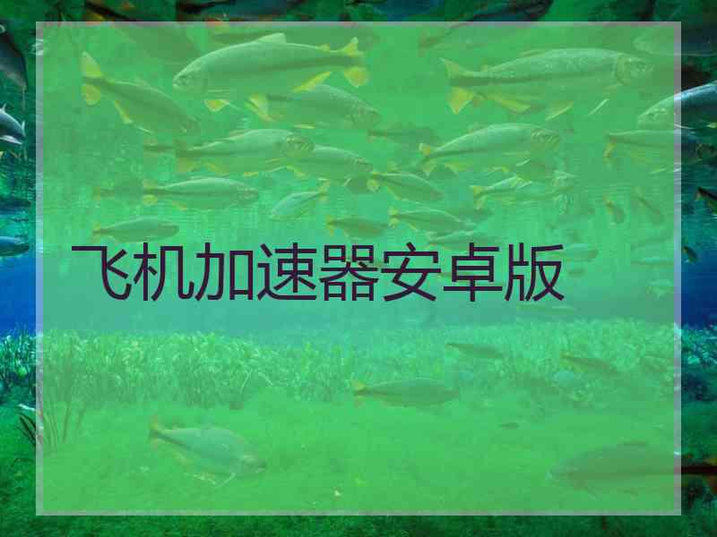 飞机加速器安卓版