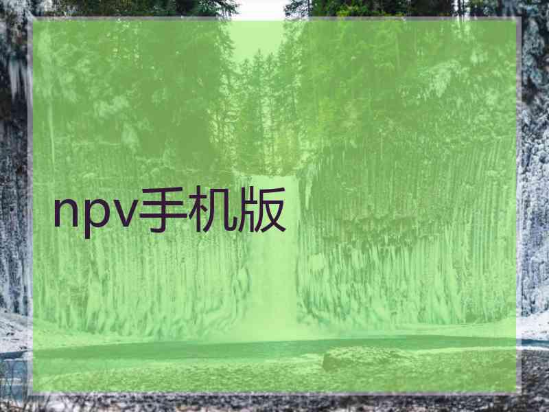 npv手机版