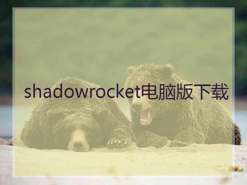 shadowrocket电脑版下载