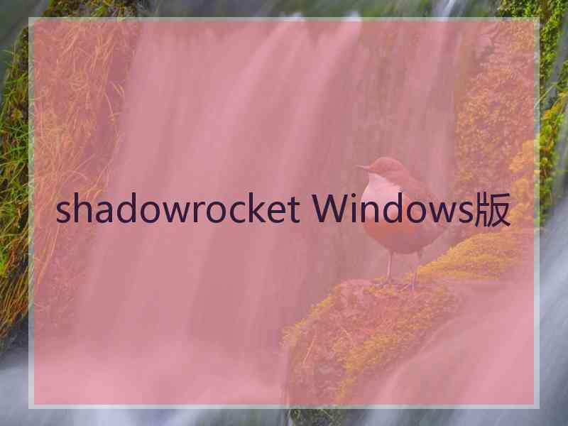 shadowrocket Windows版
