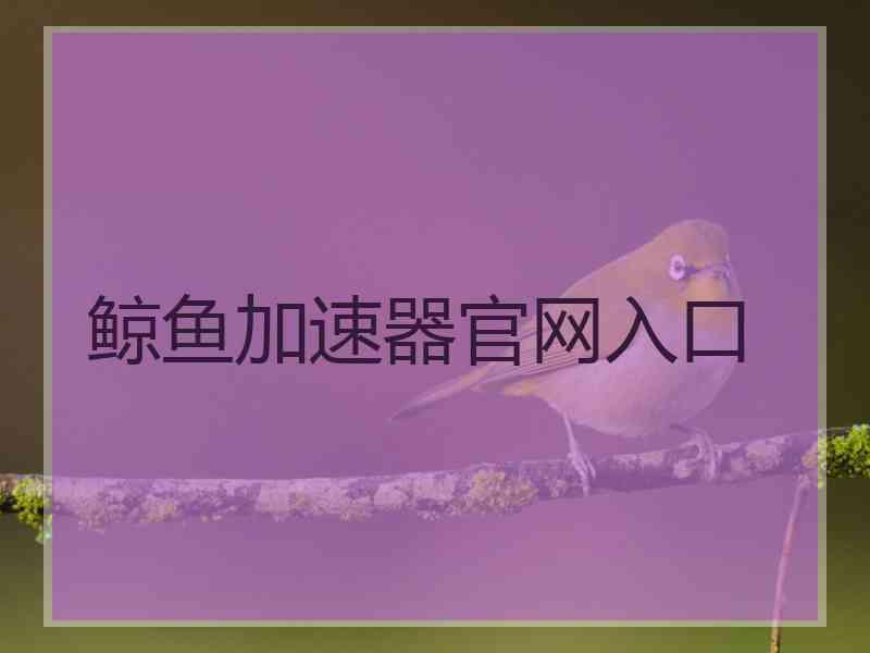 鲸鱼加速器官网入口