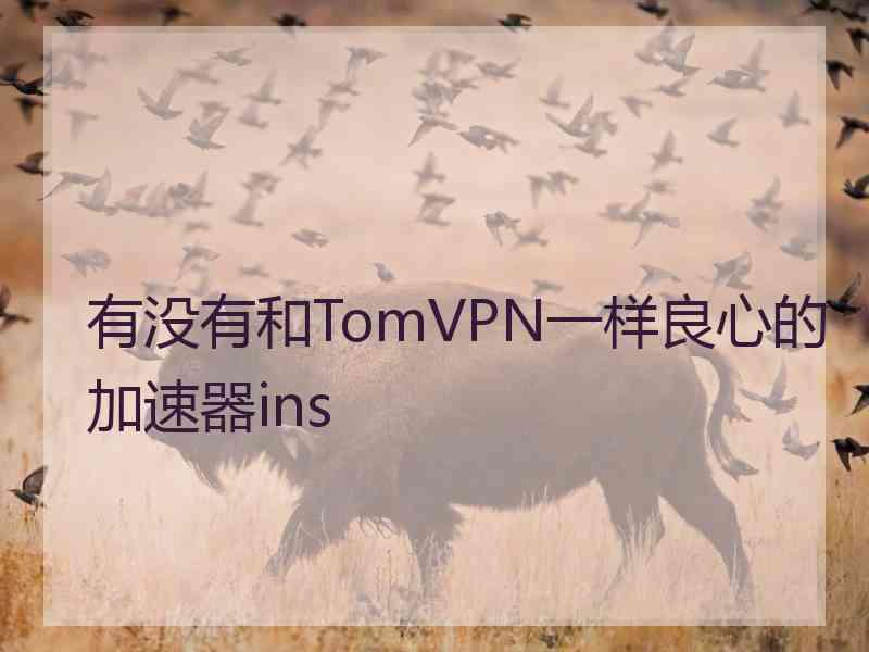 有没有和TomVPN一样良心的加速器ins