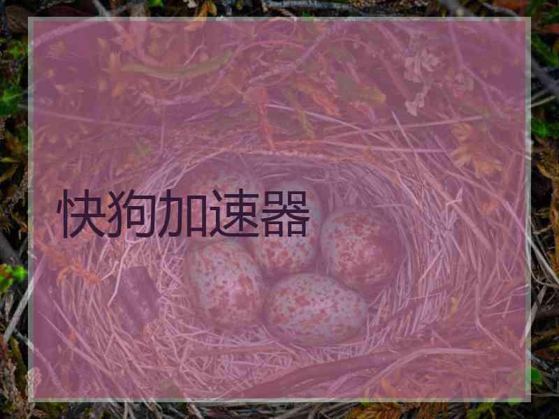 快狗加速器