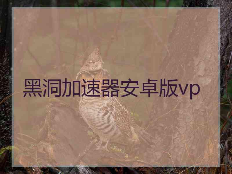 黑洞加速器安卓版vp