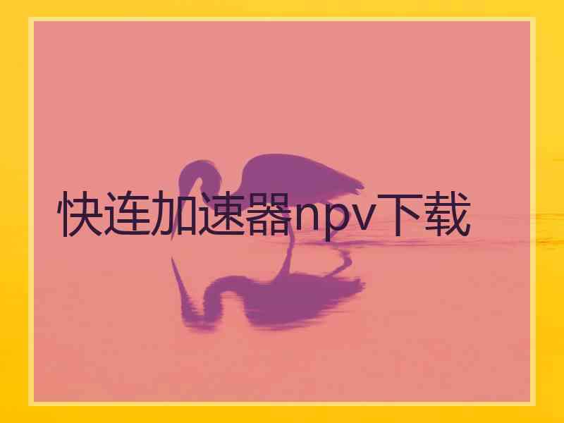 快连加速器npv下载