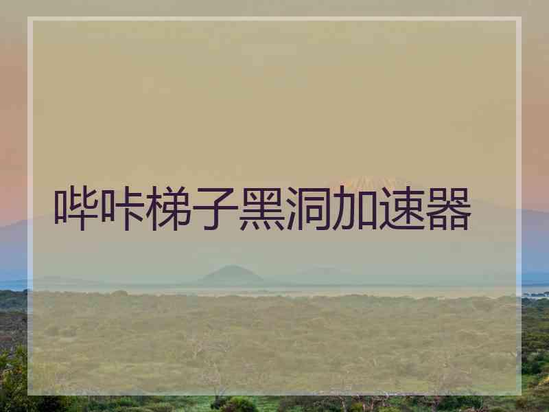 哔咔梯子黑洞加速器