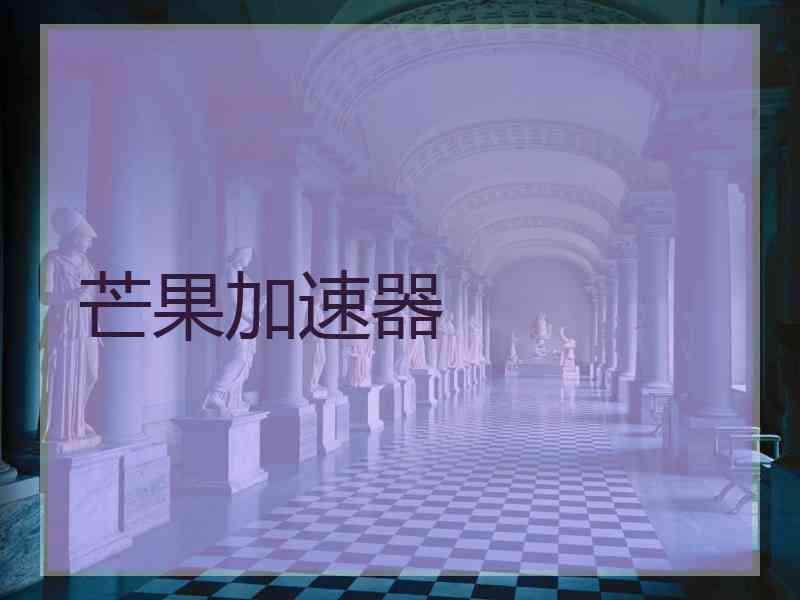 芒果加速器