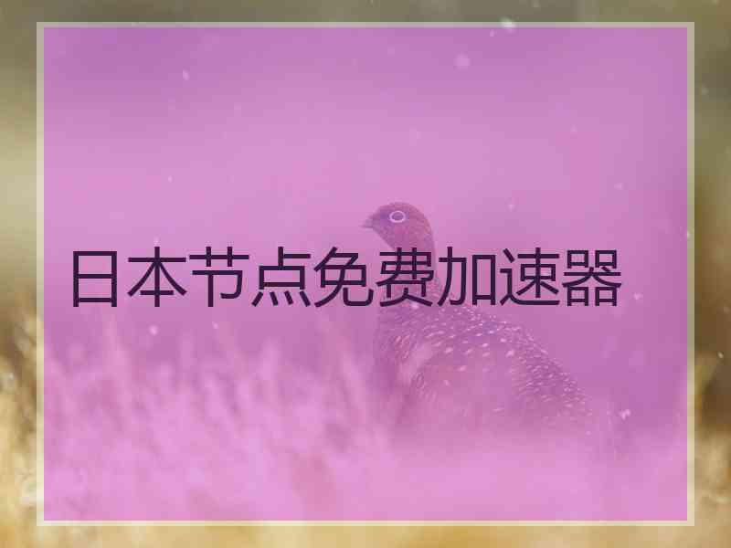 日本节点免费加速器