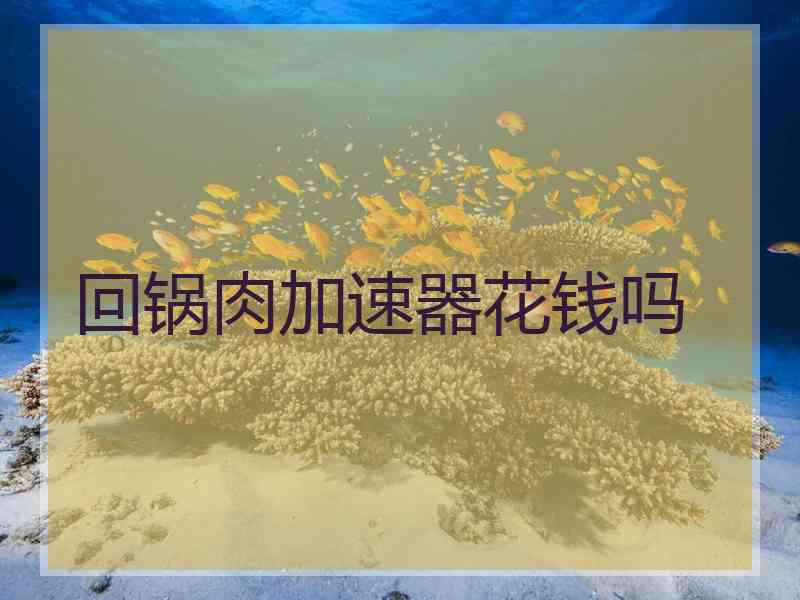 回锅肉加速器花钱吗