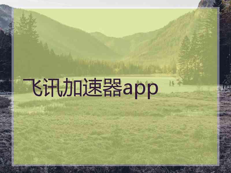 飞讯加速器app