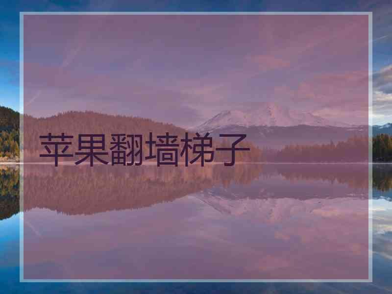 苹果翻墙梯子