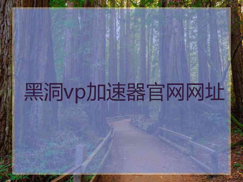 黑洞vp加速器官网网址