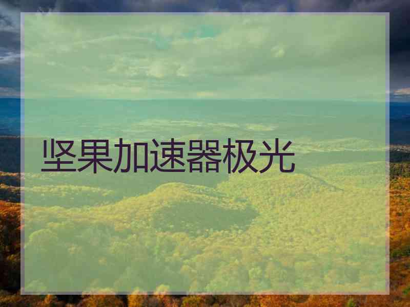 坚果加速器极光
