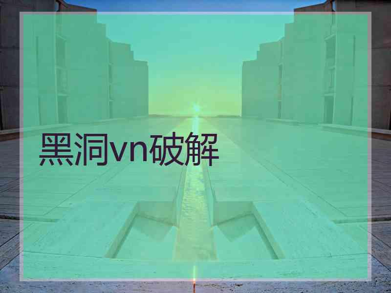 黑洞vn破解