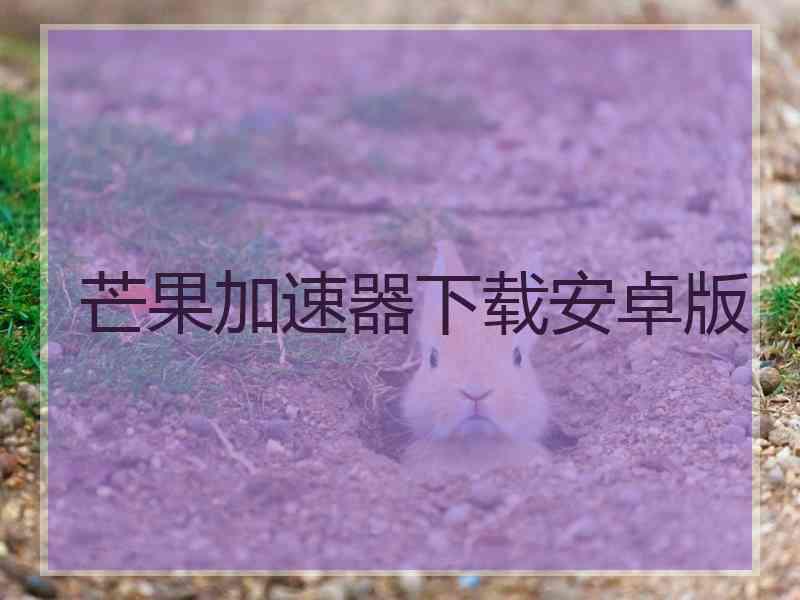 芒果加速器下载安卓版