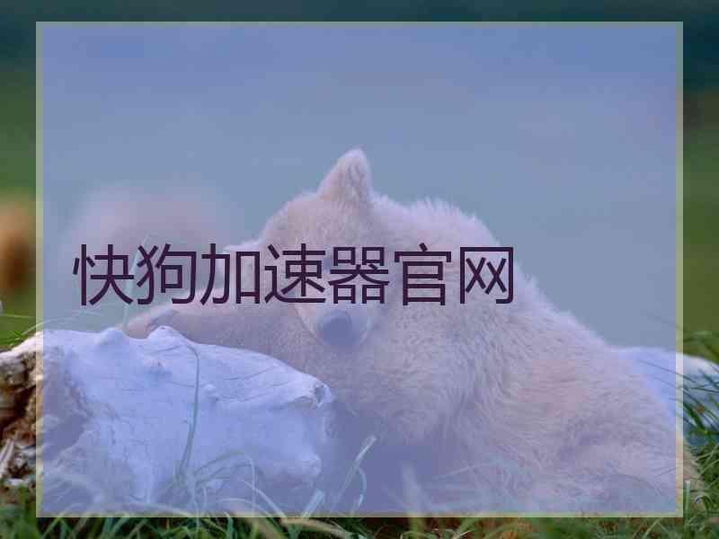 快狗加速器官网