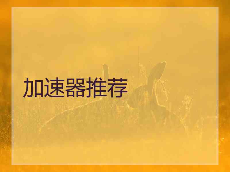 加速器推荐