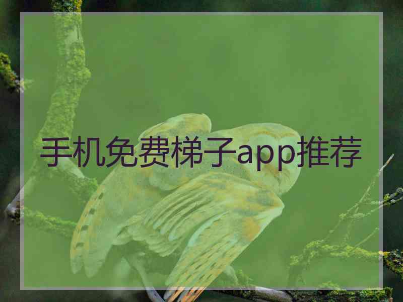 手机免费梯子app推荐