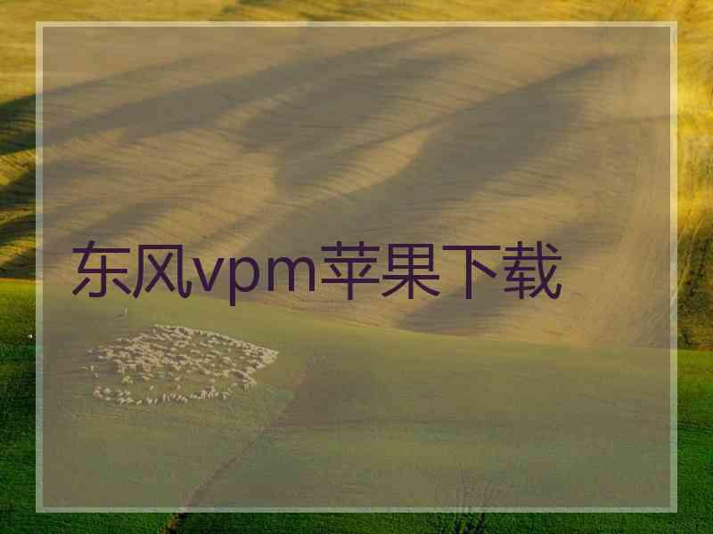 东风vpm苹果下载