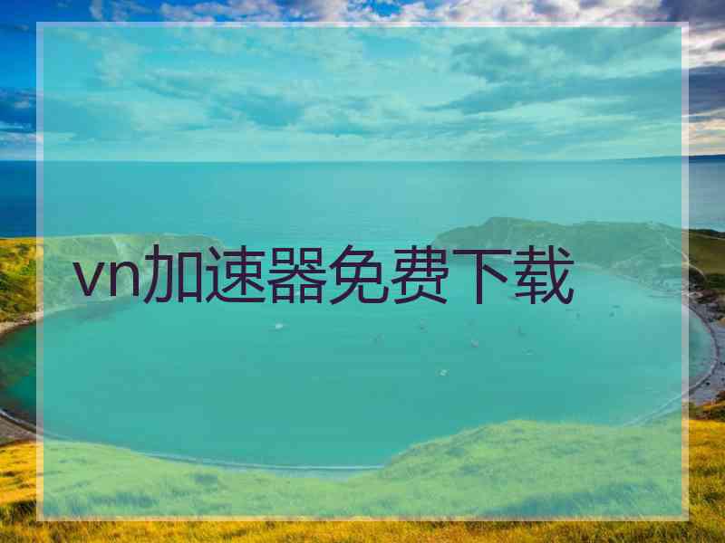 vn加速器免费下载