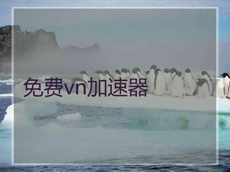 免费vn加速器