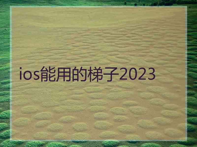 ios能用的梯子2023